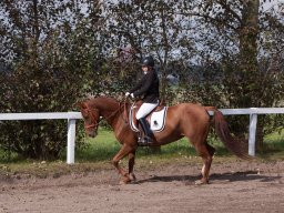 IMG_7901_web